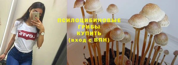 синтетический гашиш Волоколамск
