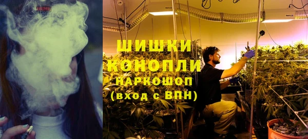 ПСИЛОЦИБИНОВЫЕ ГРИБЫ Волосово